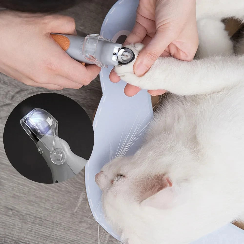 Pet nail clippers lifestyle