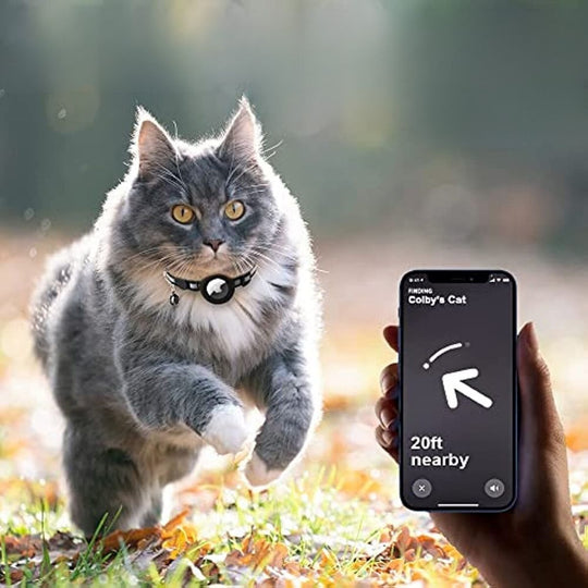 Reflective Cat Collar with GPS Tracker Holder for Safe Outdoor Tracking