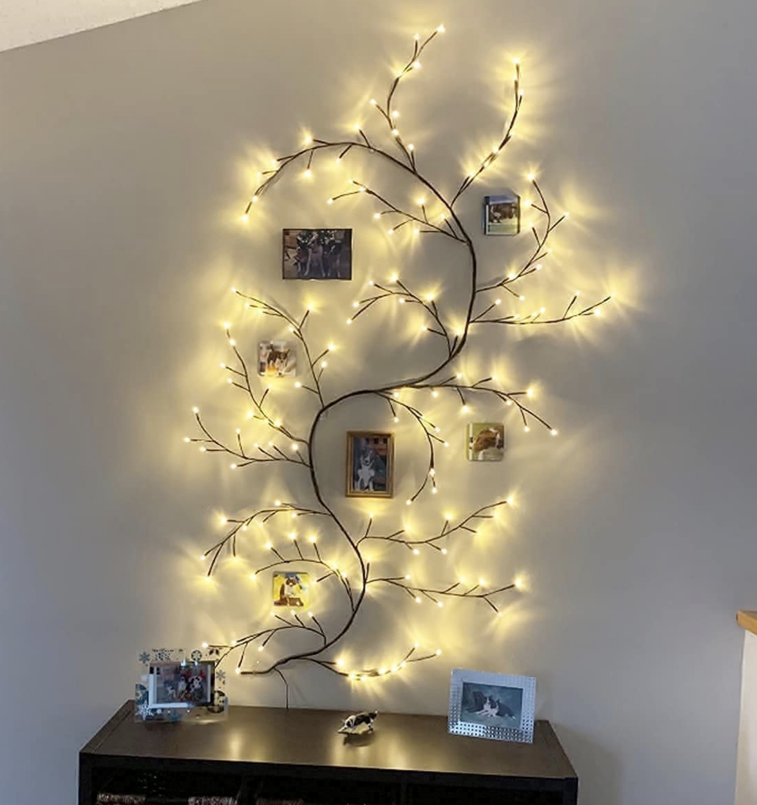 Vine lights with photos