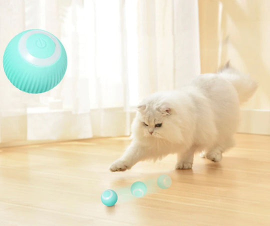 Cat chasing rolling motion ball toy
