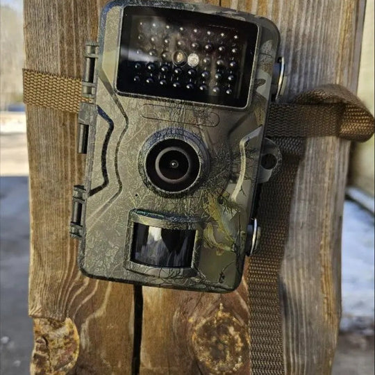 Camouflage No-Glow Night Vision Trail Camera for Outdoor Wildlife Monitoring