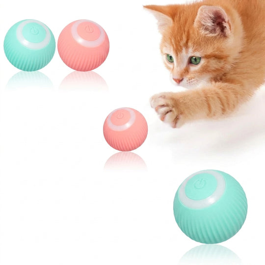 Kitten playing with rolling ball toy