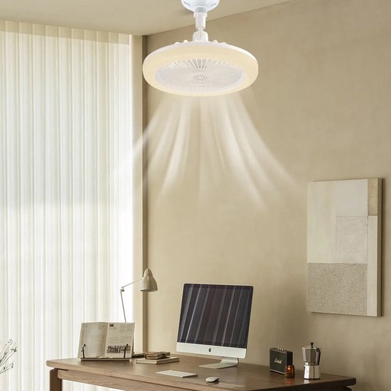 Ceiling fan light in home office