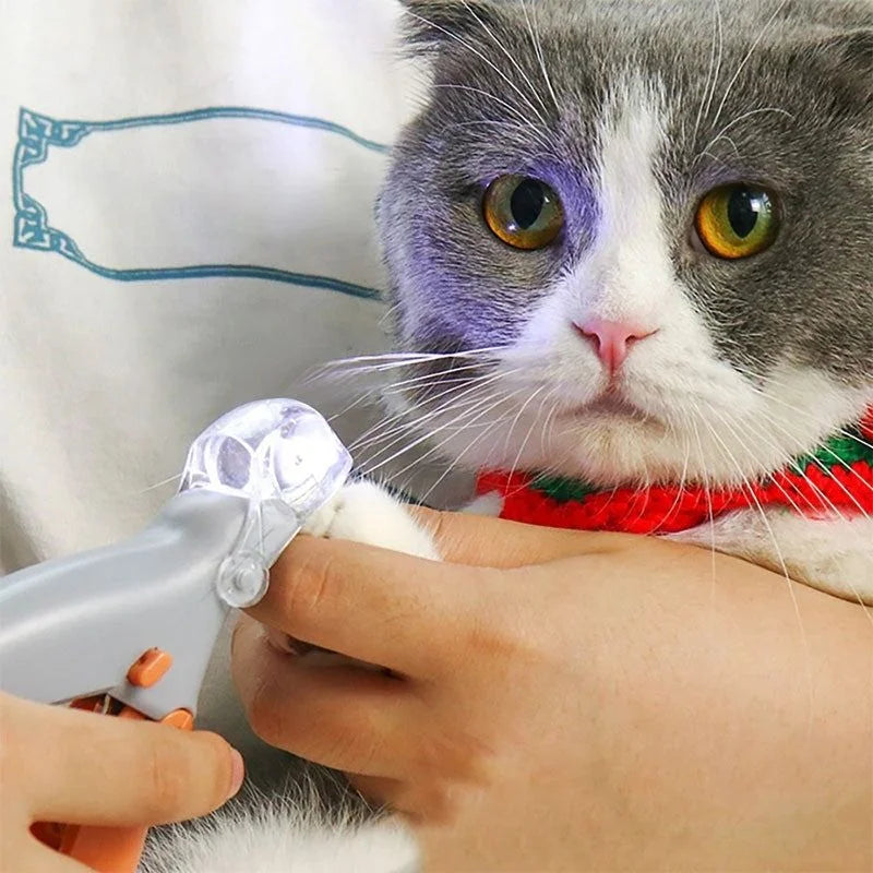 Pet nail clippers in use