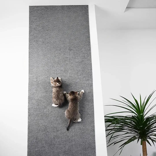 Cozy Self-Adhesive Carpet Scratch Protector Pad for Couch and Furniture