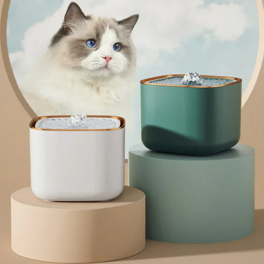 Cat drinking from pet water fountain