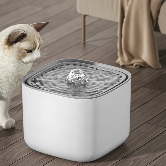 Pet water fountain plugged into USB outlet