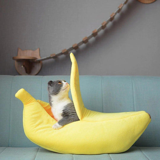Yellow banana cat bed on sofa