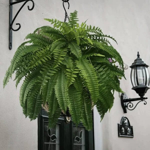 Lush UV-Resistant Artificial Boston Fern for Indoor and Outdoor Decor