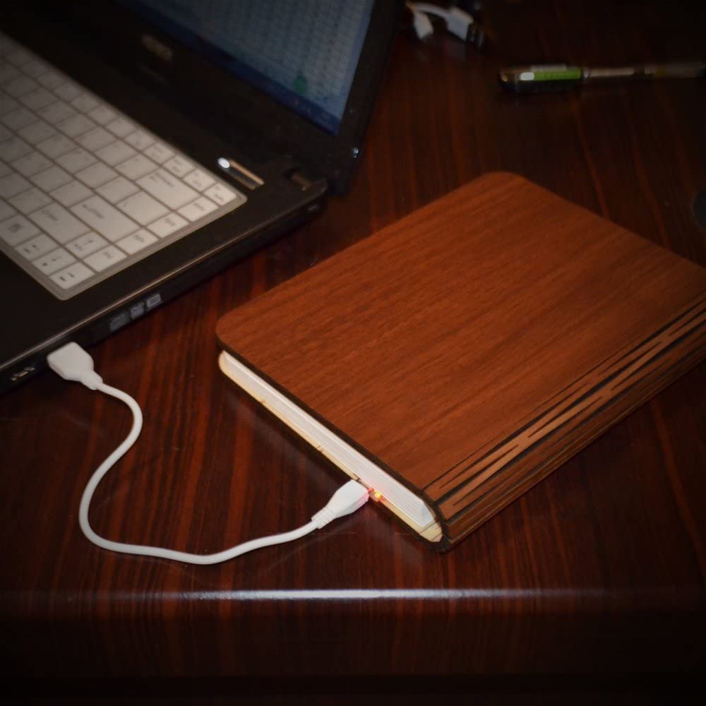 Wooden book lamp fanned open