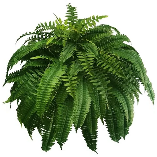 Lifelike UV Resistant Artificial Boston Fern for Outdoor and Porch Decor