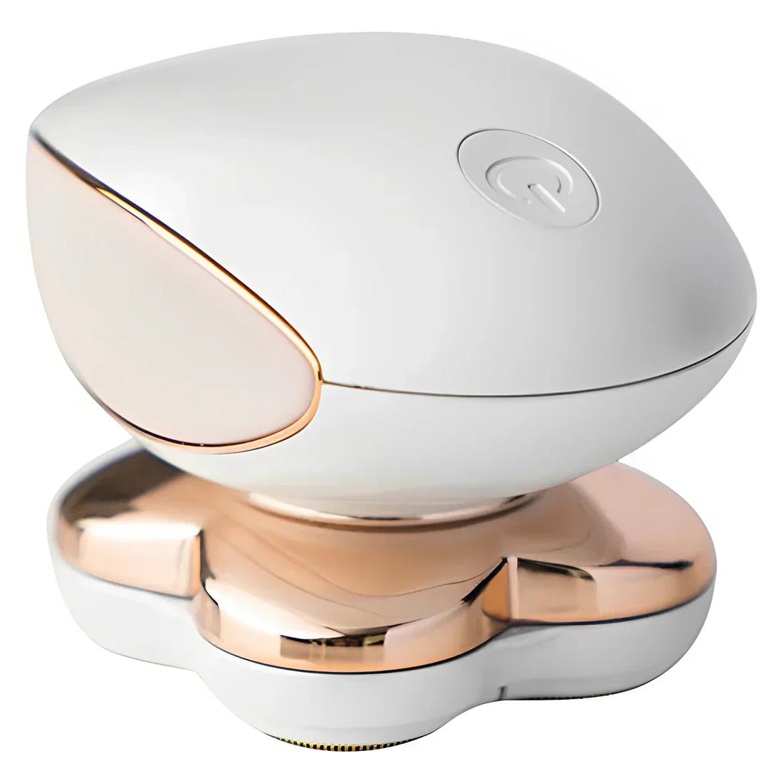 Electric lady shaver